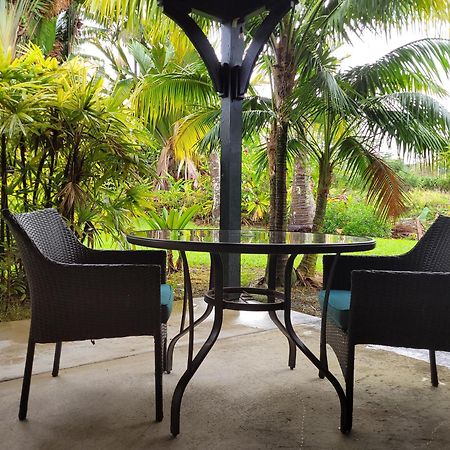 Island Goode'S - Luxury Adult Only Accommodation Near Hilo Papaikou 外观 照片