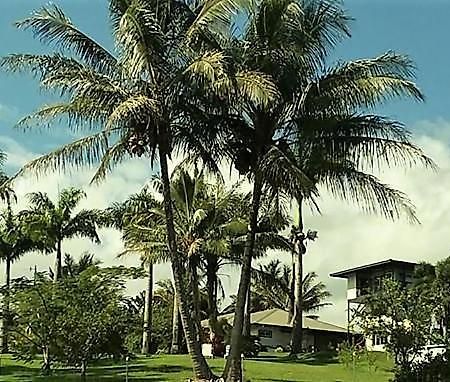 Island Goode'S - Luxury Adult Only Accommodation Near Hilo Papaikou 外观 照片