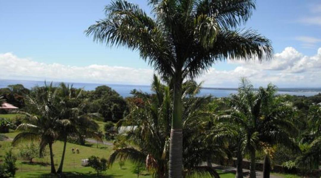 Island Goode'S - Luxury Adult Only Accommodation Near Hilo Papaikou 外观 照片