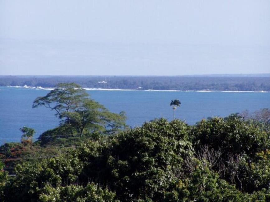 Island Goode'S - Luxury Adult Only Accommodation Near Hilo Papaikou 外观 照片