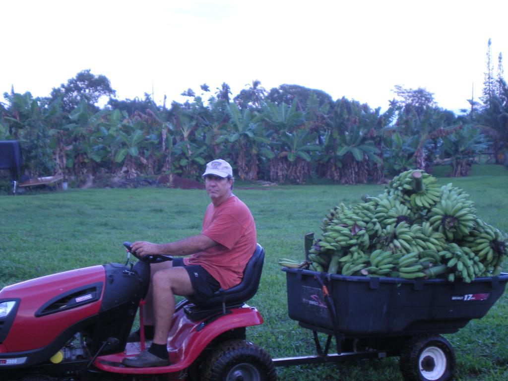 Island Goode'S - Luxury Adult Only Accommodation Near Hilo Papaikou 外观 照片