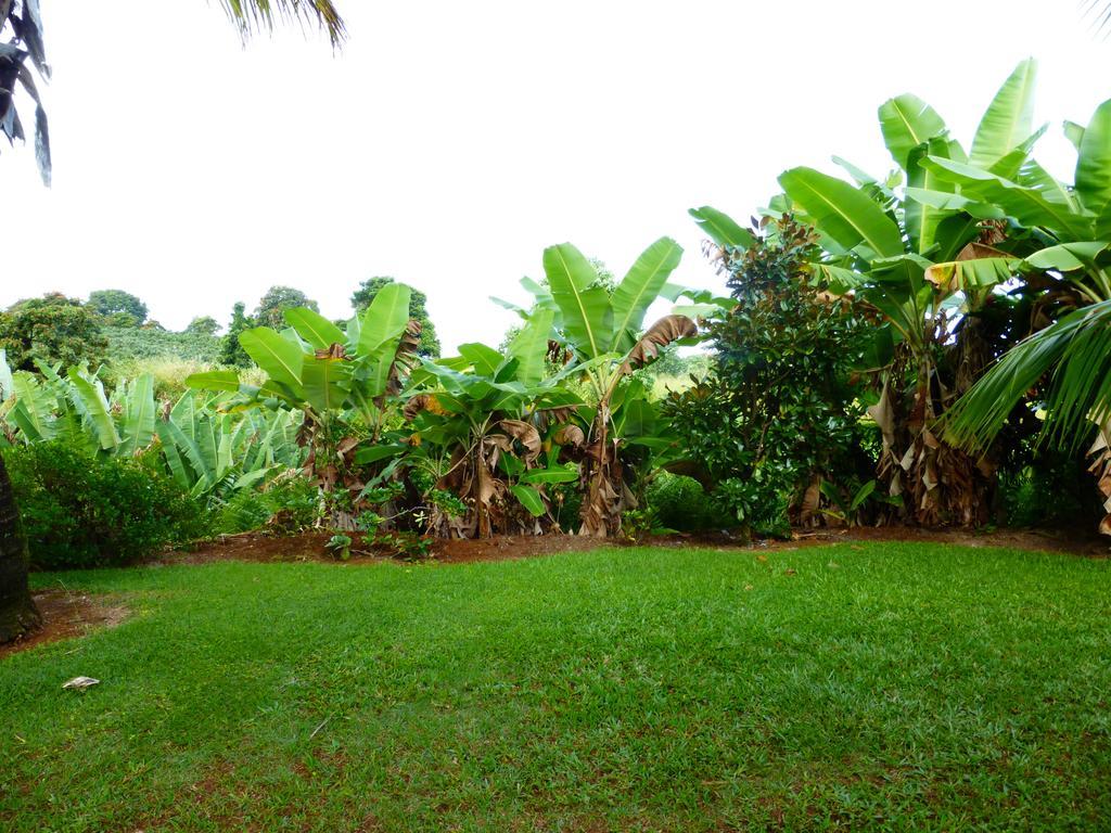 Island Goode'S - Luxury Adult Only Accommodation Near Hilo Papaikou 外观 照片