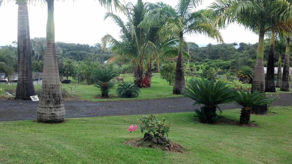 Island Goode'S - Luxury Adult Only Accommodation Near Hilo Papaikou 外观 照片