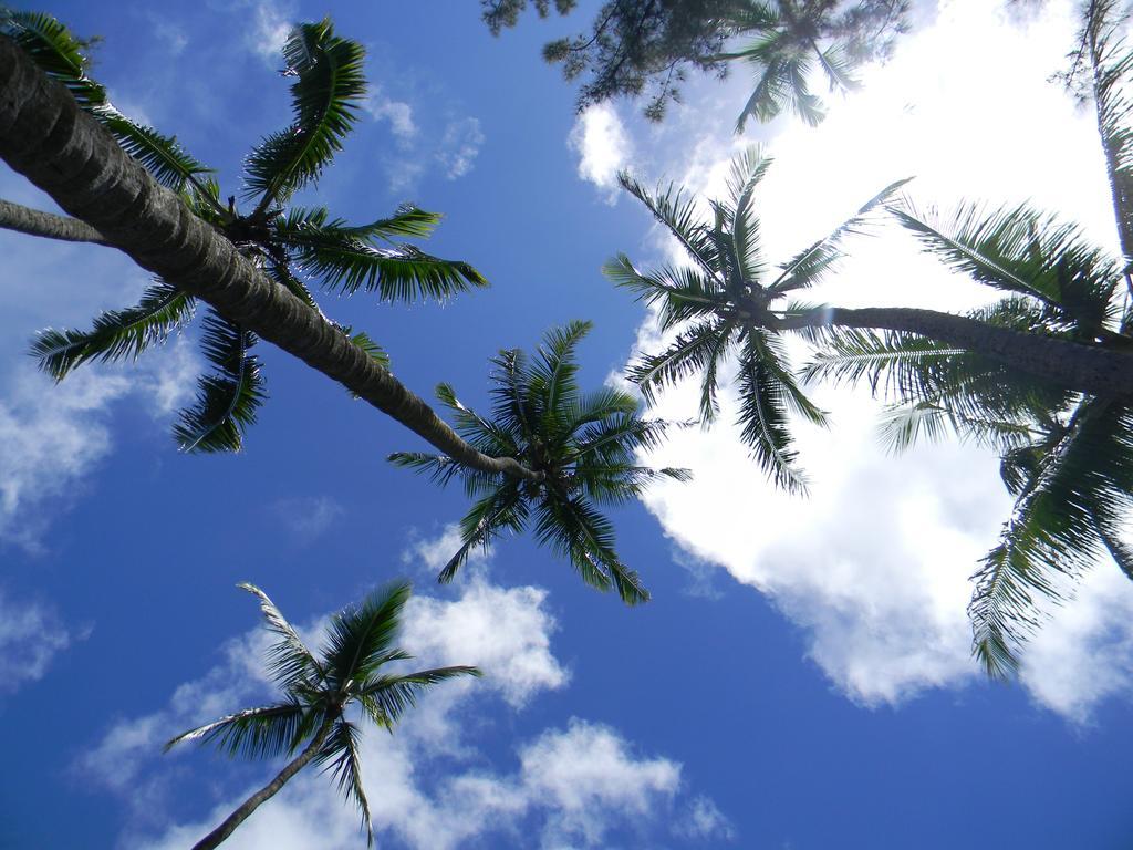Island Goode'S - Luxury Adult Only Accommodation Near Hilo Papaikou 外观 照片