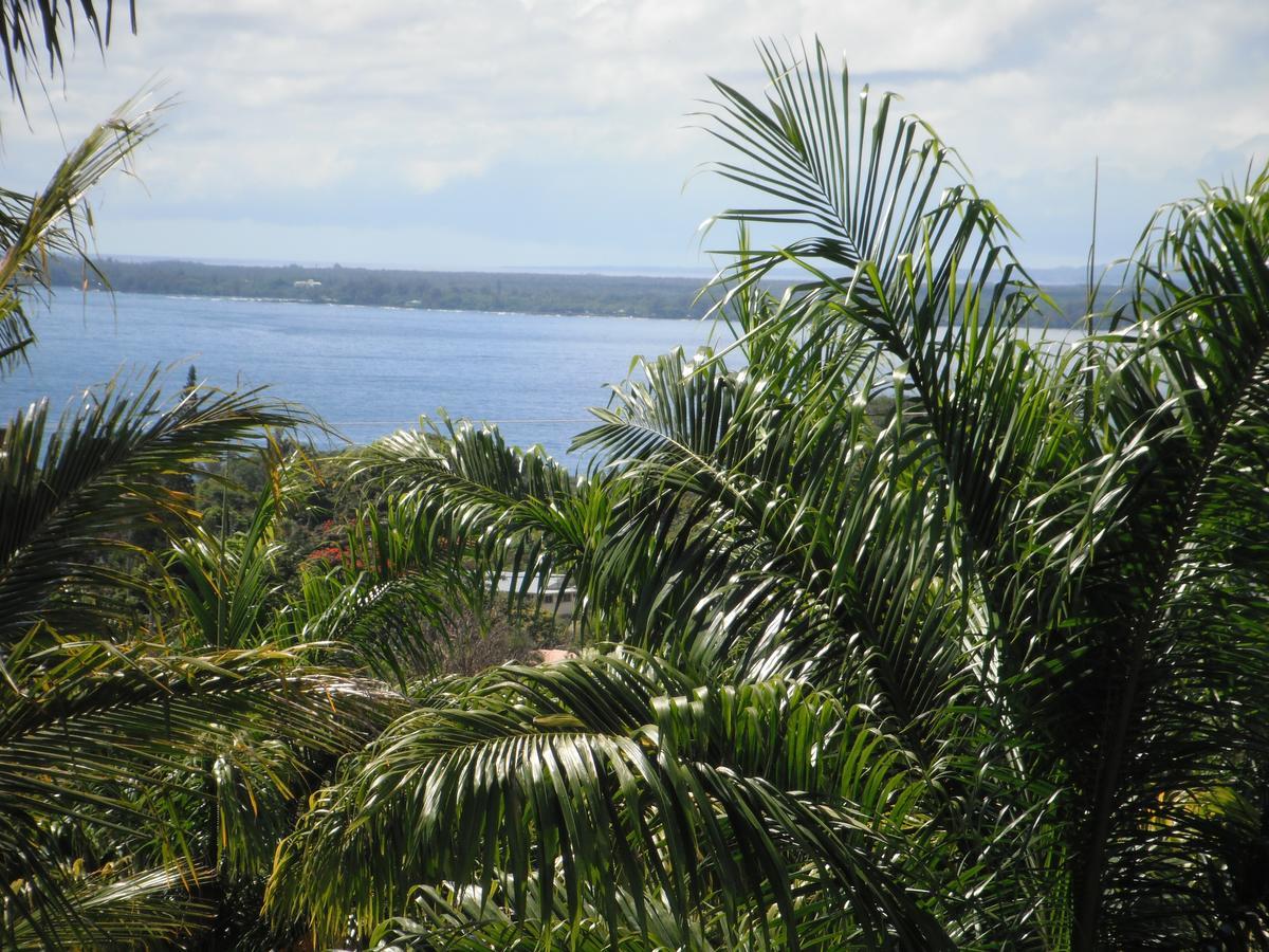 Island Goode'S - Luxury Adult Only Accommodation Near Hilo Papaikou 外观 照片