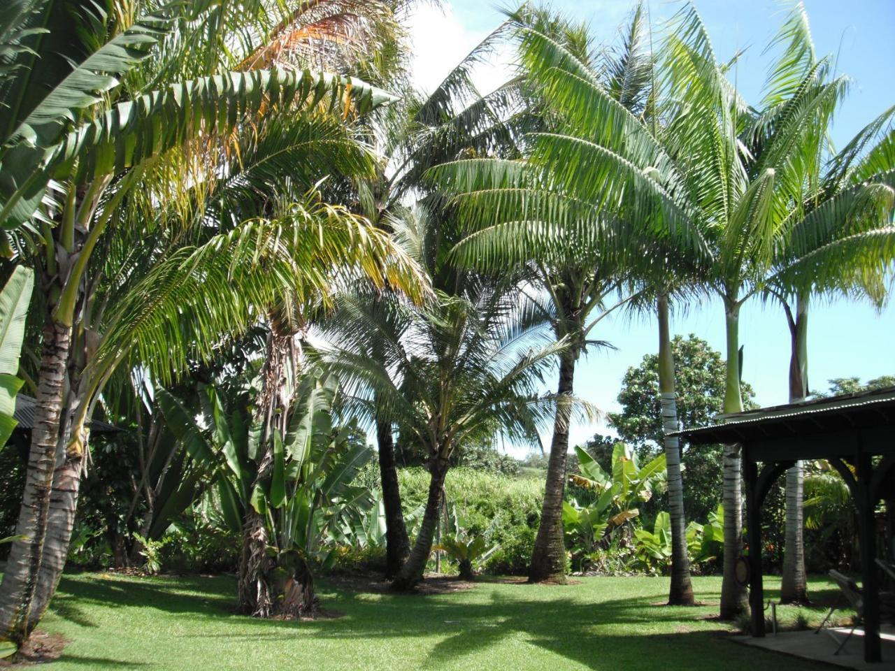 Island Goode'S - Luxury Adult Only Accommodation Near Hilo Papaikou 外观 照片