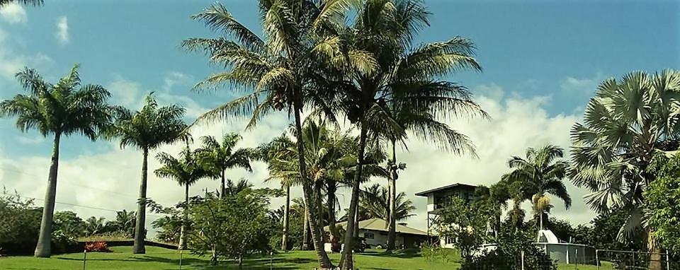 Island Goode'S - Luxury Adult Only Accommodation Near Hilo Papaikou 外观 照片